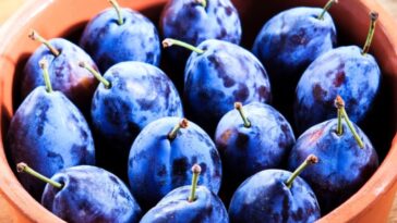 Naturally Blue Foods - Damson plum
