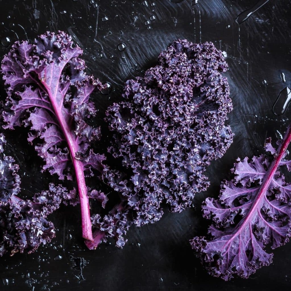 Purple Foods List - Purple Kale
