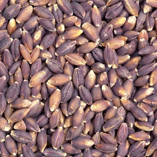 Purple Foods - Purple Barley
