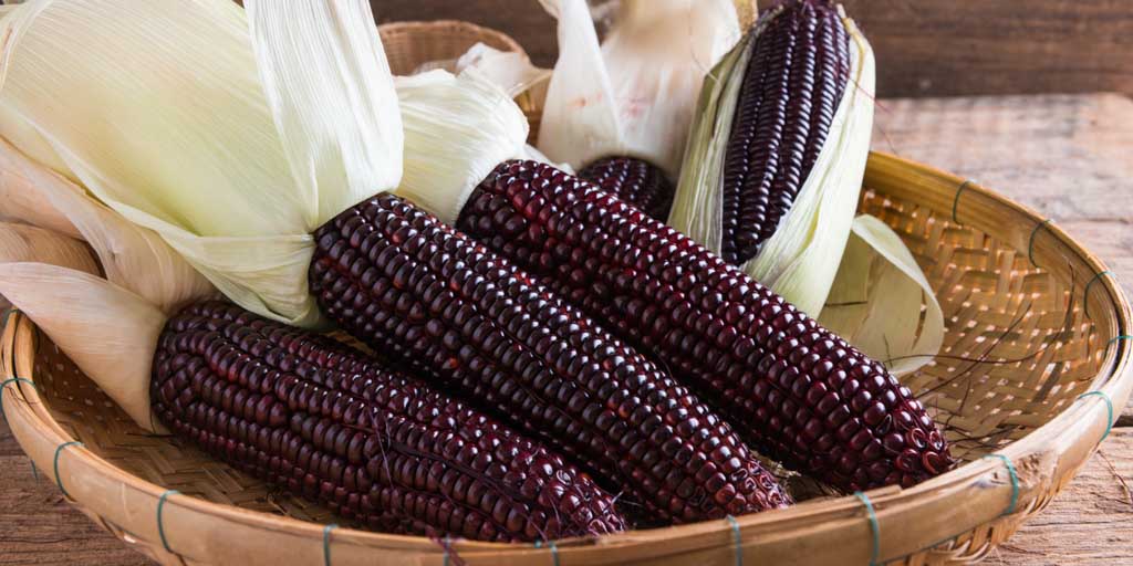 Purple Foods - Purple Corn