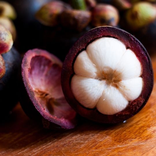 Purple Mangosteen