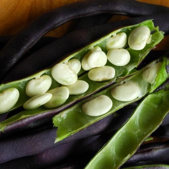 Purple Foods - Royal Burgundy Green Beans