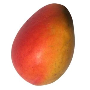 Frutas con E - Eldon Mango