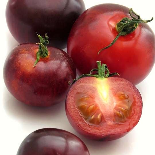 Frutas con i-Indigo rose tomato