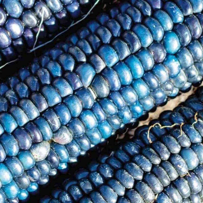 Naturally Blue Foods - Blue Corn