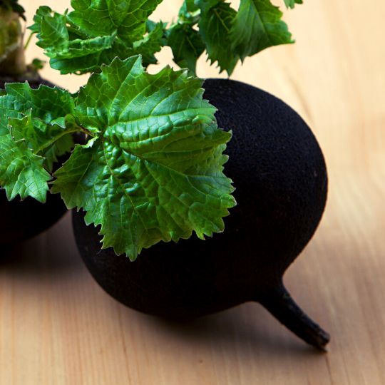 black foods - black radish
