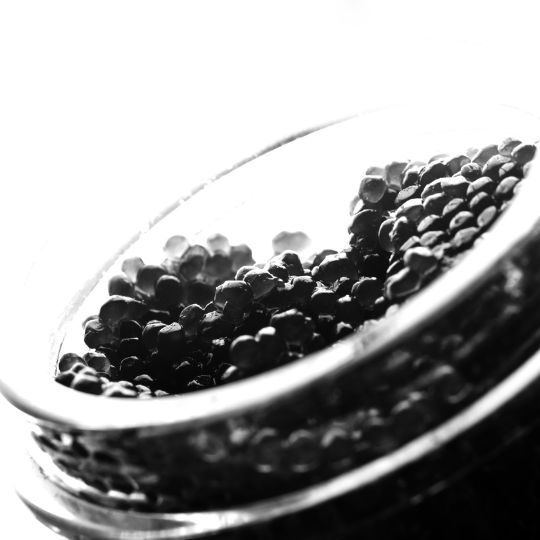 black foods - bowfin black caviar
