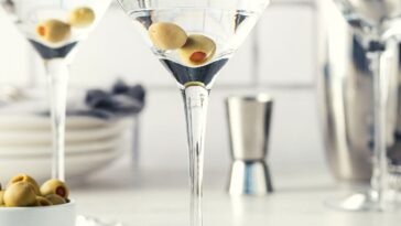 Best Gin Martini Drink Recipes